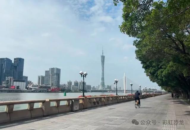 秋日骑行地图!6条亲子友好路线:彩虹道+湖景+滨海风光