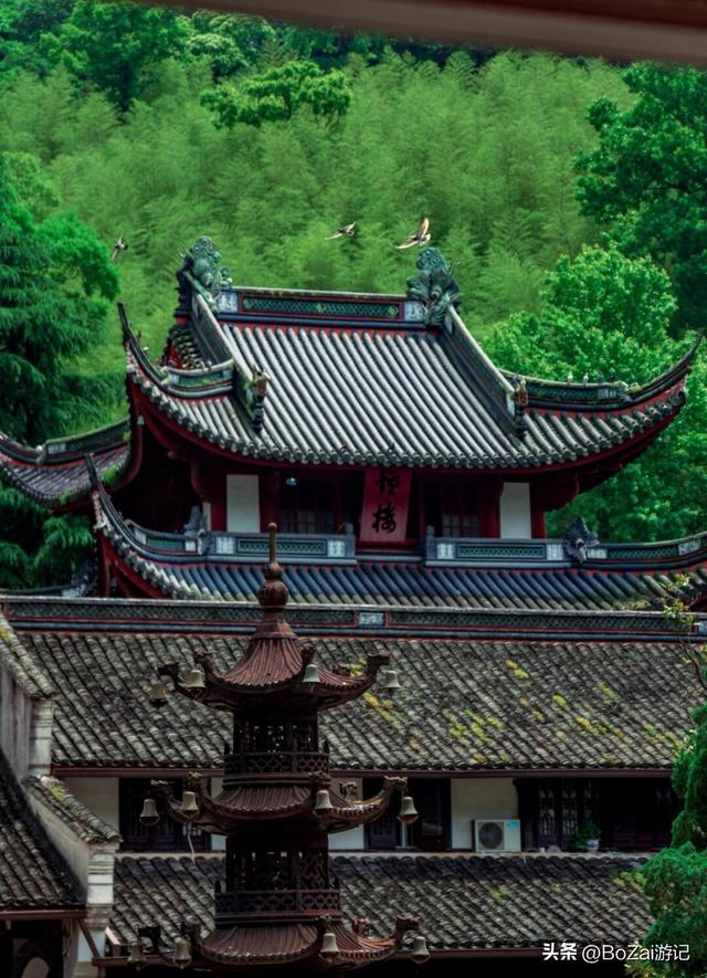 从热门寺庙看文化复苏,天童寺有何魅力,让人慕名而来