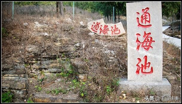 芒果黄穿行古意秋光：大行045折叠车解锁薛城至墨子故里骑行秘境