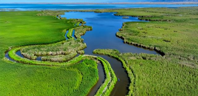 新疆3月3日资讯