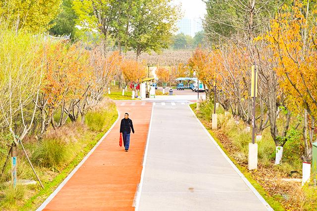 “醉”秋上线！潞州区美翻了