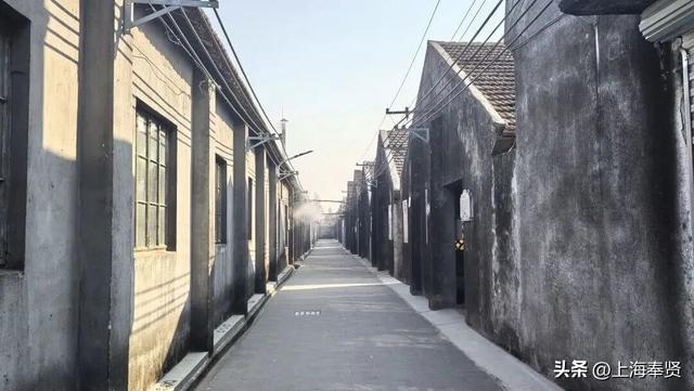 “乡”遇奉贤·四团镇篇丨“品酒+露营”快来解锁近郊旅游新玩法