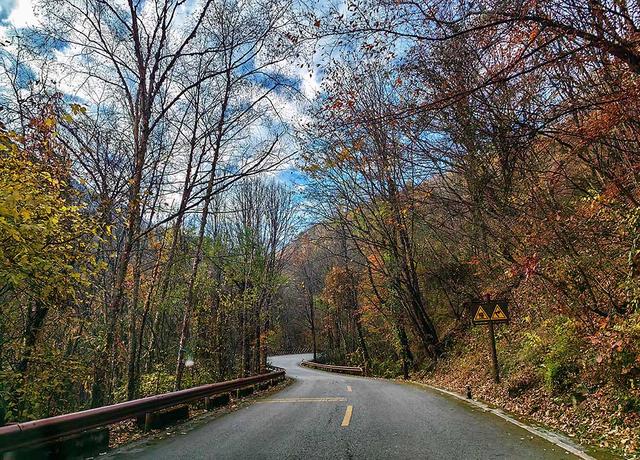 2024深秋四川行19 神农架风景区2 华中屋脊的五彩秘境