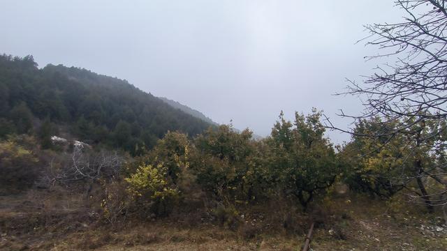 河北唐山丨市历史学会为啥组团赴遵化东旧寨镇双泉寺村考察