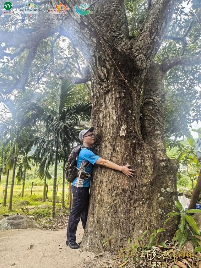 王下溯溪、船型屋寻踪、皇帝洞探秘，这场雨林黎乡之旅太上头！