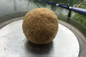 夏季钓鱼得“赶早口”，可是很多人第一步就走错了图片