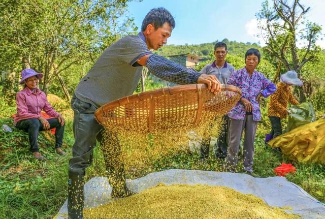 重阳登高何处去？安溪邀您赏花踏秋，解锁「茶山+云海」双景模式