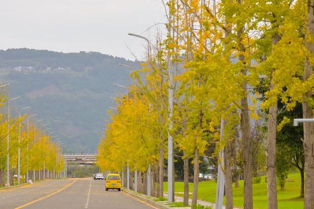 太美了！金堂这些地方值得一去