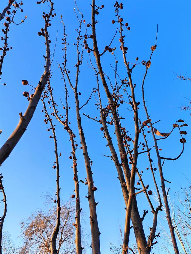 旧时光里的温暖，是奶奶的土药方