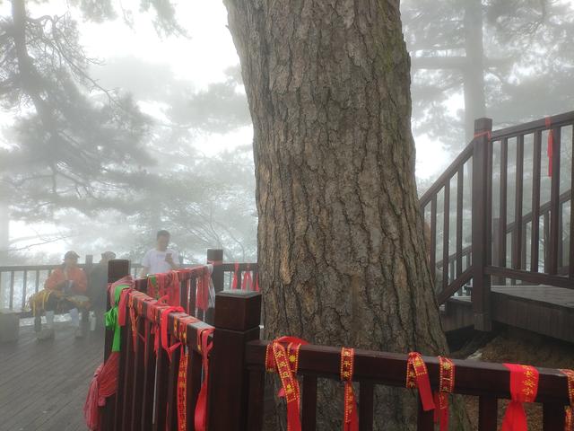 终南山.南五台—不负遇见