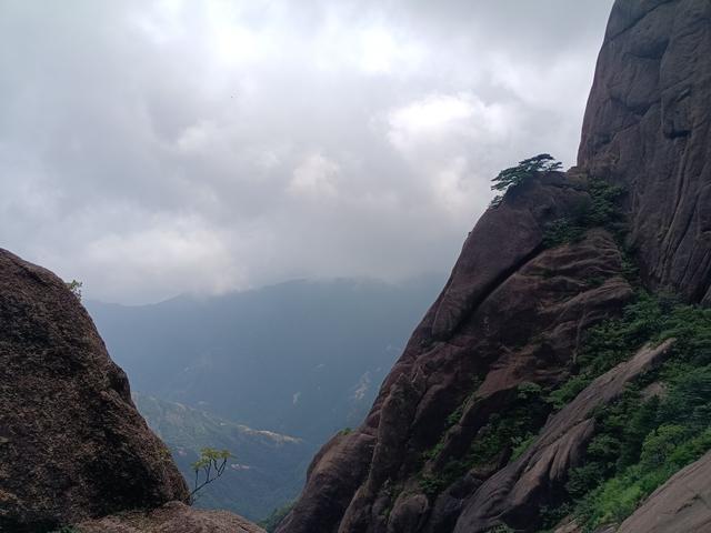 黄山一日游：在奇景与人心间丈量性价比