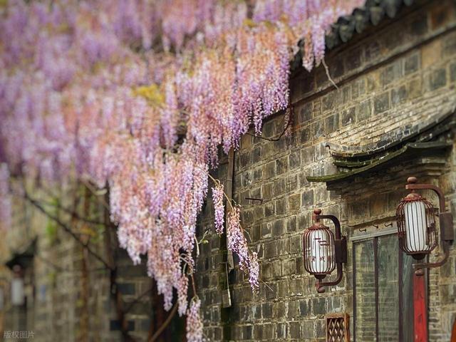 终于知道自己有多愚蠢了：南京还是太低调了，文旅都不上班吗？