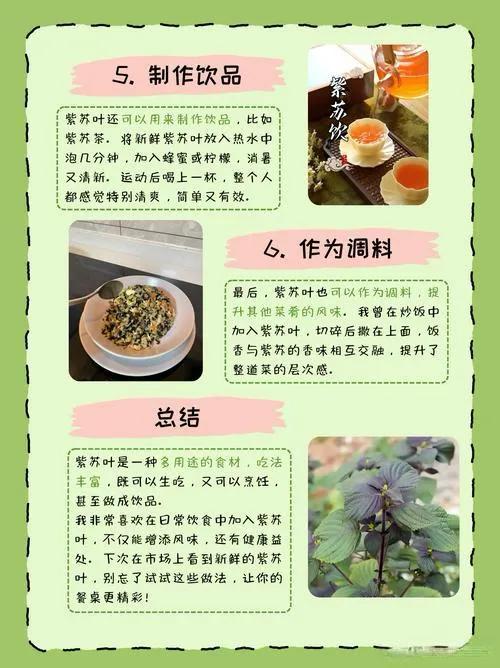 中伏吃紫苏，好处多多！