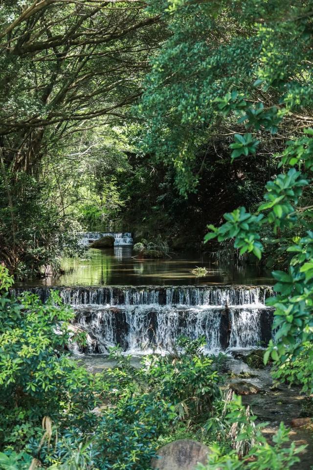 免费畅游！还有这些优惠等你解锁→