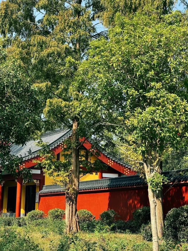 世界上只有中国湖北省荆州市才有的全球 “独一无二的10大奇景”