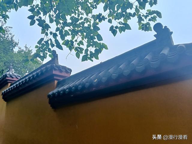 爬了趟蛇山，拍了组龙华寺的片子