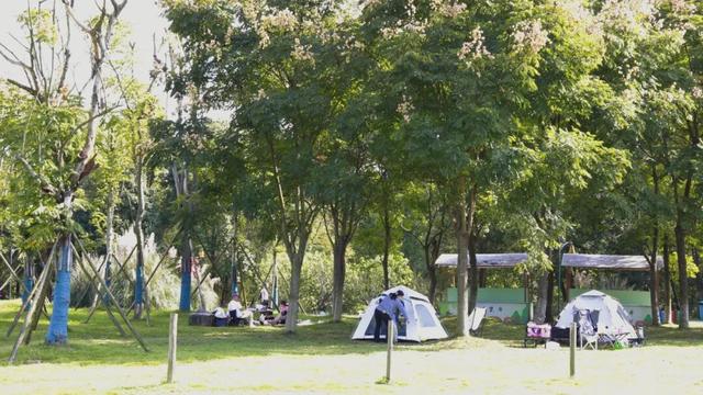 秋日出游，点击解锁新津“三适”出行锦囊→