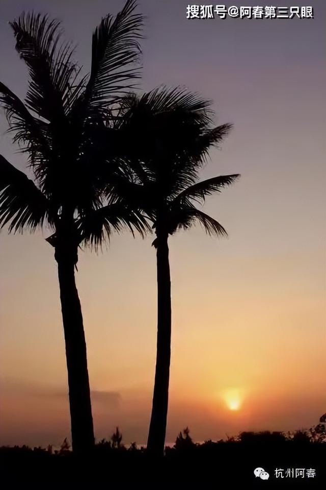 三亚晨曦里的美丽故事……