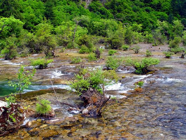 四川旅游：三游人间仙境九寨沟（图）