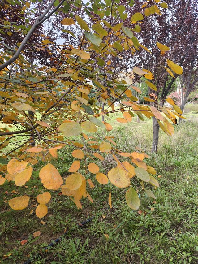 徒步穿越西流湖，赏秋正当时