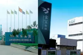 宝莫股份低价向“新老板”定增，4.5亿元全部来源于借款图片