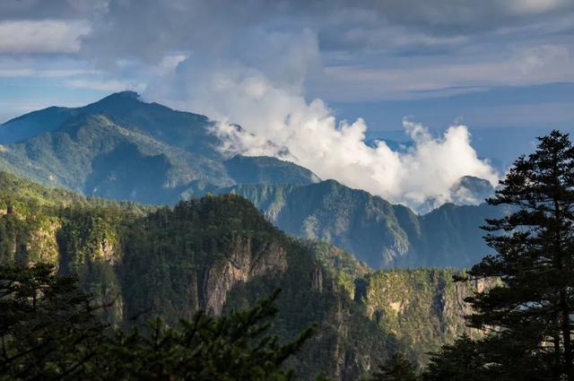 世界自然遗产、物种基因库、北纬31°绿色奇迹——神农架旅游攻略