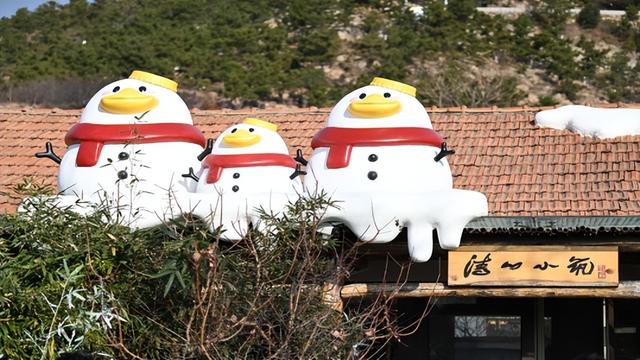 山海间的雪色浪漫 崂山东麦窑民宿解锁青岛冬季浪漫新坐标