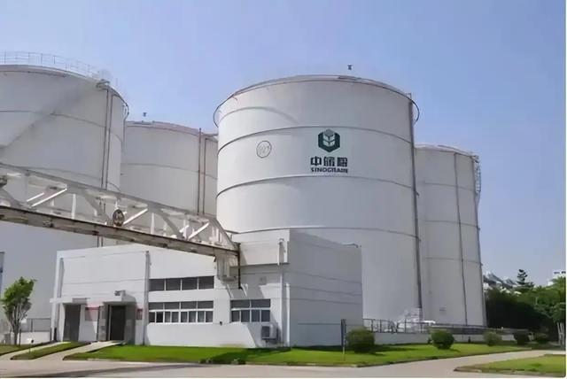 巴西大豆对华猛涨价，买家集体暂停订单，静待2个时机