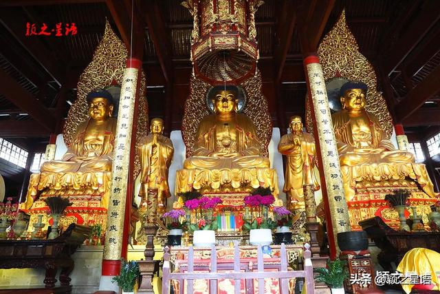 天童寺的高光时刻，禅意弥漫，东谷秋红