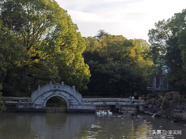 秋色“进度条”加载中，狼山森林公园赏秋点等你来打卡→