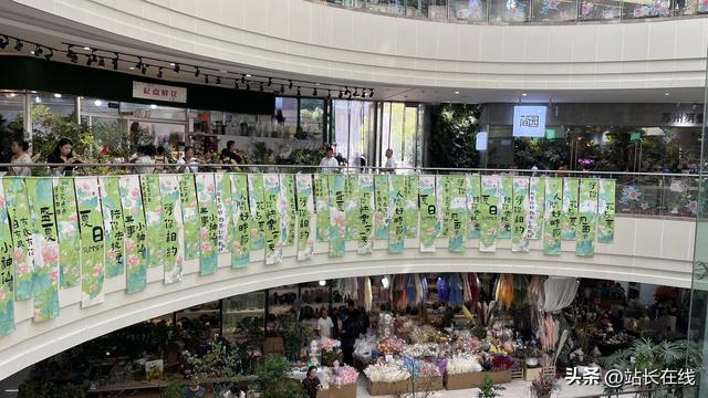“荷”其浪漫！姑苏区开展“荷诞日”主题文化活动