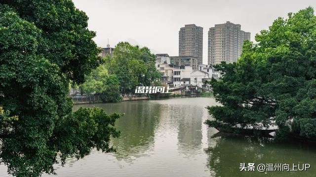 温州这座出土了众多国宝的“宝藏古镇”，能否成为下一个梧田老街