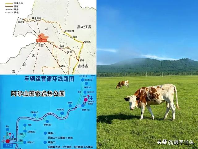 在阿尔山，邂逅一个22℃的夏天