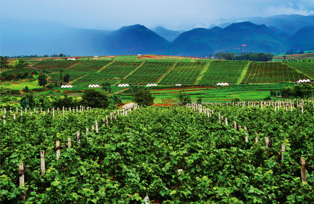 弥勒6大景区，面向全国民警免票（长期有效）