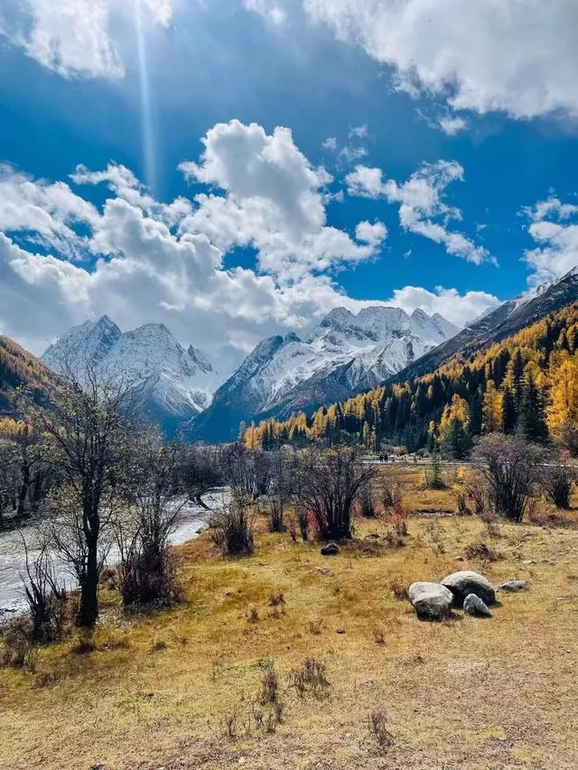 接下来，小金是这样的~