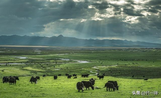 西藏嘎朗湿地：藏东南的隐秘莲花