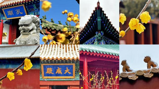 临沂文旅就是要让你一分钱不花游临沂！