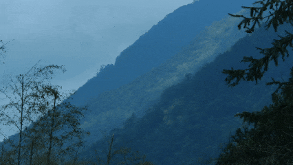 全域好水 亲水纳凉 | 在武夷山，与所有疲惫温柔和解