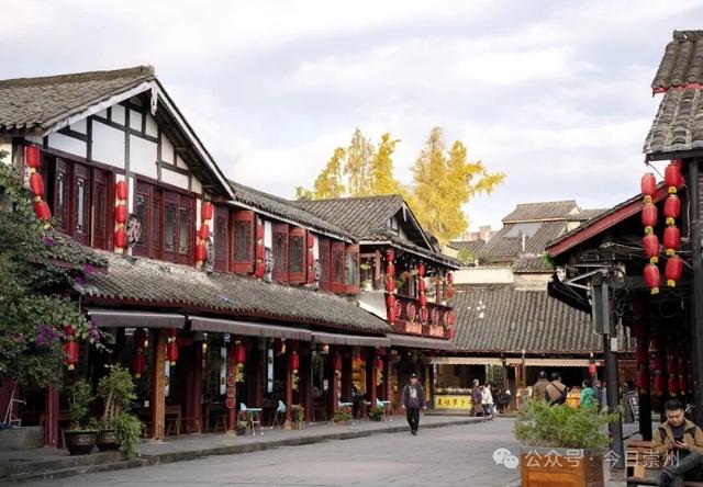 速来→崇州正上演初冬金色浪漫大片！