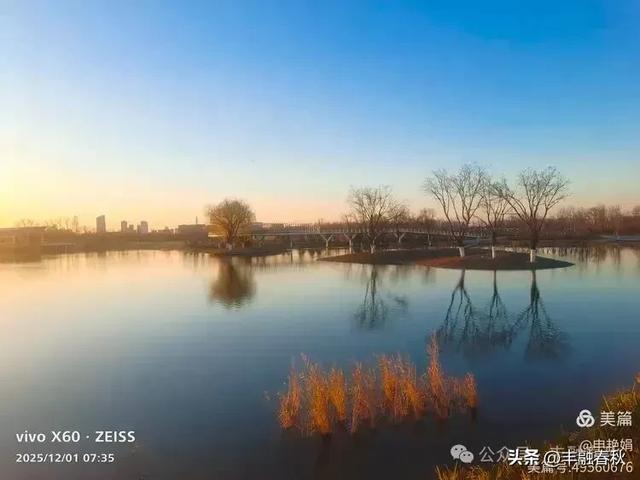 初冬北京朝阳坝河金盏淀：清寒里的静美画卷｜申艳娟