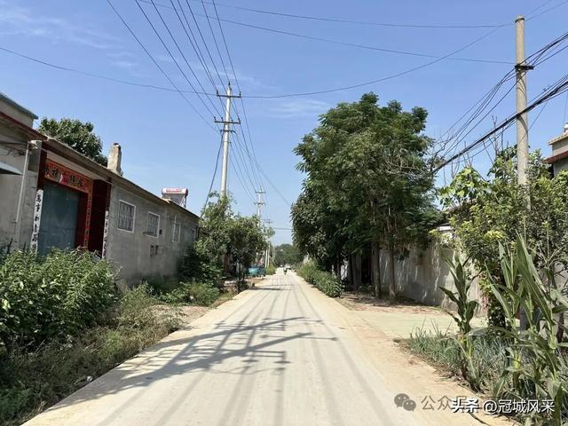 冠县乡韵·定远寨镇前杏园村