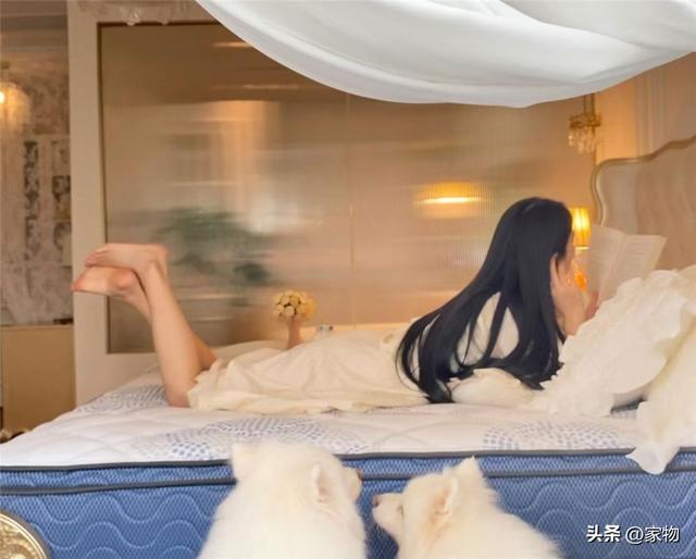 30岁大姑娘晒“公主卧室”，法式小窝又暖又梦幻，网友：太舒服了