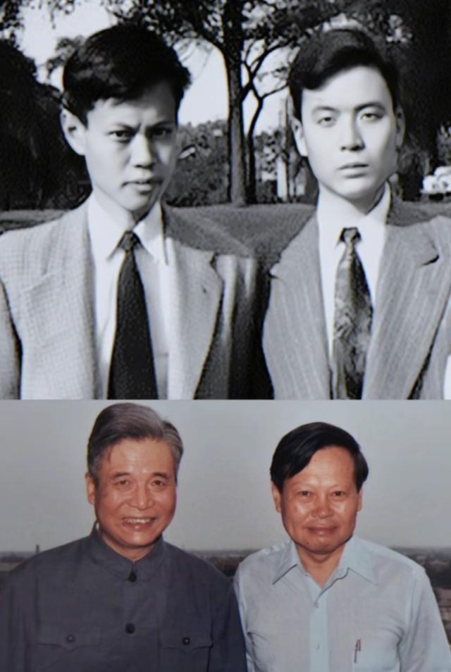 杨振宁葬礼结束，盖国旗完成夙愿不到24小时，恶心一幕就出现了！