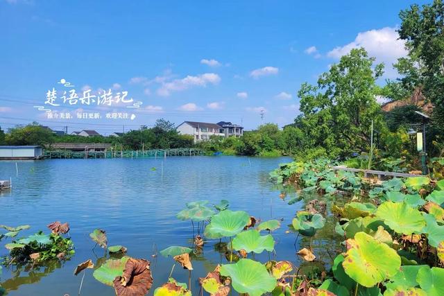 绍兴上虞白马湖畔的打卡胜地，人文气息藏于湖光山色，景美但人少