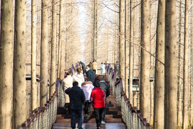 江苏东台,开启2026文旅新篇章!