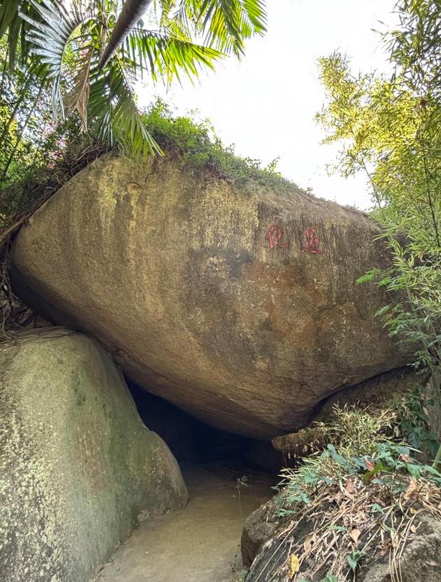 厦门植物园百花厅内有一打虎洞，在1925年，有一只老虎在此被打死