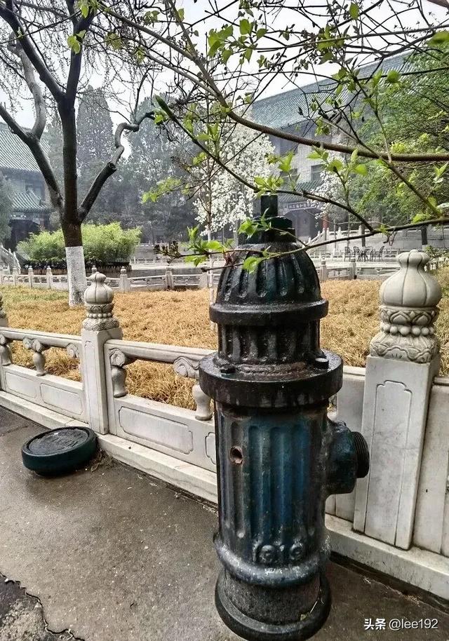 细赏王府系列之—雨中协和（49）《13》