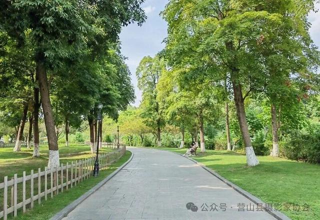 李永辉：水墨画卷——成都南湖公园