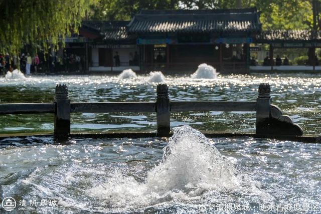 被济南泉水下的世界惊艳到了！