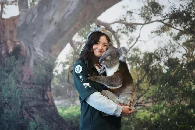 今年冬天，我想去这里过夏天